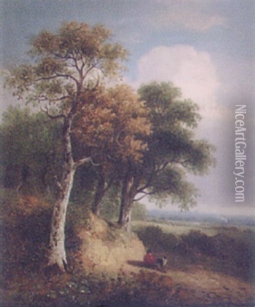 Landscape With Trees Oil Painting - Samuel David Colkett