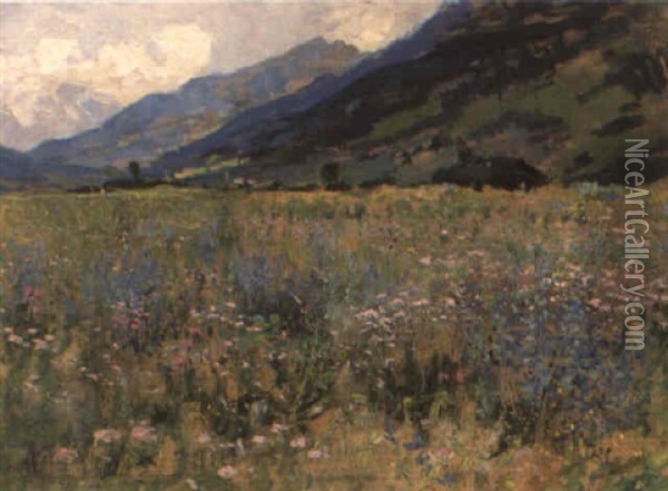 An Alpine Meadow Oil Painting - Giorgio Belloni