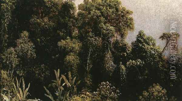 Forest Study Brazil Oil Painting - Martin Johnson Heade