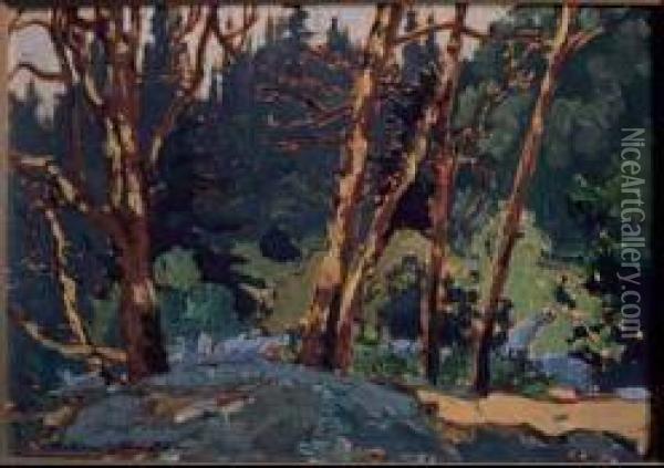Madrona (arbutus) Trees, Pacific Coast Oil On Panel Oil Painting - Franz Hans Johnston