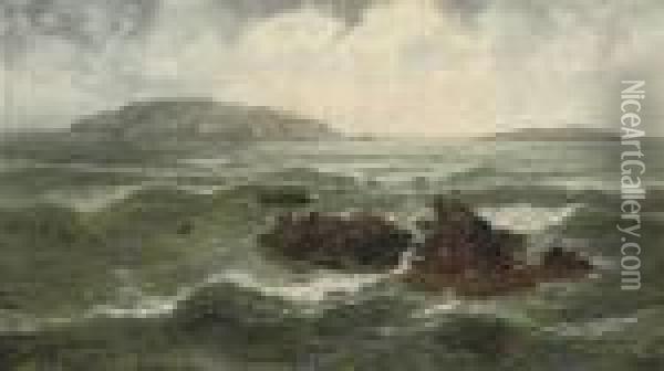 Gulls On A Rocky Outcrop Oil Painting - Thomas Rose Miles