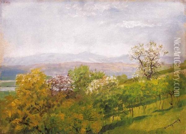 Spring Hillside Oil Painting - Laszlo Mednyanszky