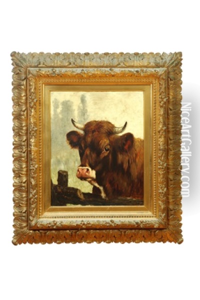Portrait Of A Bull Oil Painting - William Henry Howe