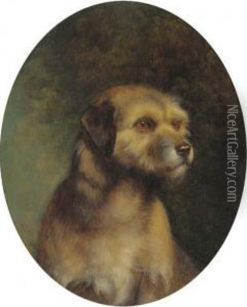 Sandy, A Border Terrier Oil Painting - J. Christian Thompson