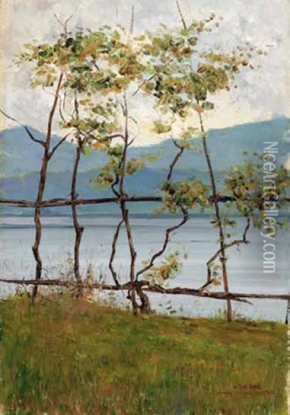 Blick Auf Einen See Oil Painting - Gerolamo Cairati