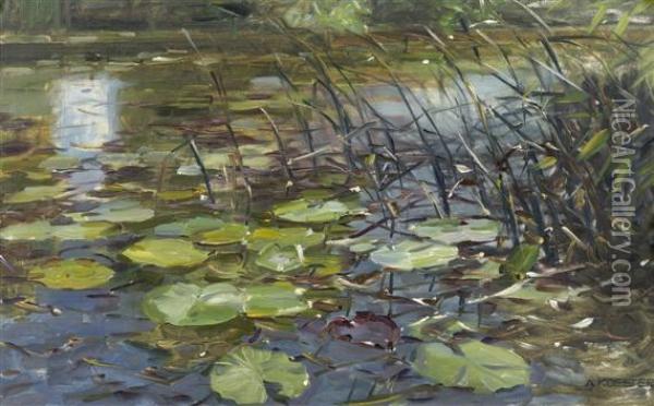 Waterlilies And Reeds Oil Painting - Alexander Max Koester