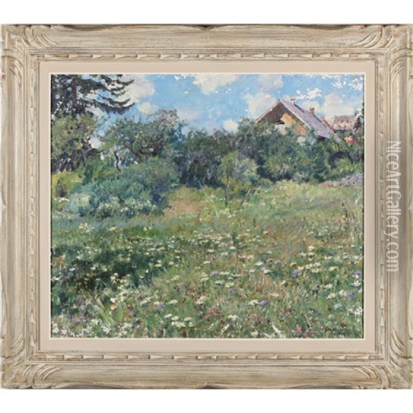 A Field Of Flowers Oil Painting - Sergei Arsenievich Vinogradov