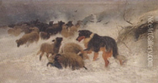 Sheep In A Snowstorm, The Rescue Oil Painting - Frederick E. Valter