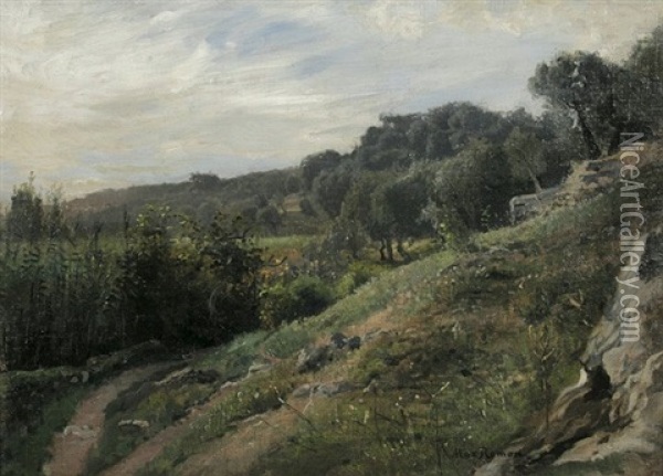 Olivenwald Oil Painting - Max Wilhelm Roman
