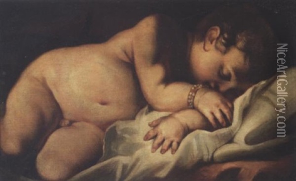 A Sleeping Putto Oil Painting - Jacopo Palma il Giovane