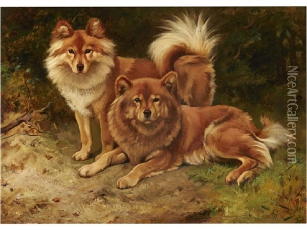 Two Finnish Spitz Oil Painting - Wright Barker