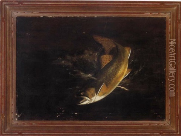 Brook Trout Oil Painting - Harry Driscole