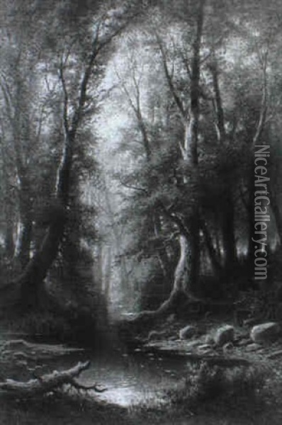 Waldeinsamkeit: Stilles Wasser Im Buchenwald Oil Painting - Albert Rieger