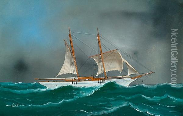 A Schooner In Open Seas Oil Painting - Luigi Roberto