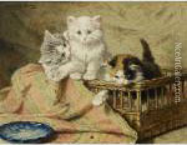 Three Kittens At Play Oil Painting - Henriette Ronner-Knip