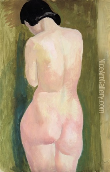 Female Nude From The Back Oil Painting - Karoly Patko