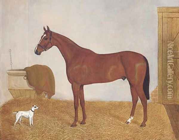 A chesnut horse in a stable Oil Painting - English School