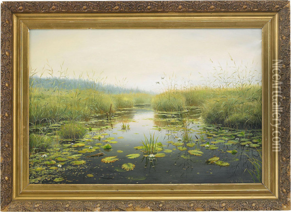 A Pond With Water Lilies Oil Painting - Mikhail Ivanovich Ignat'Ev