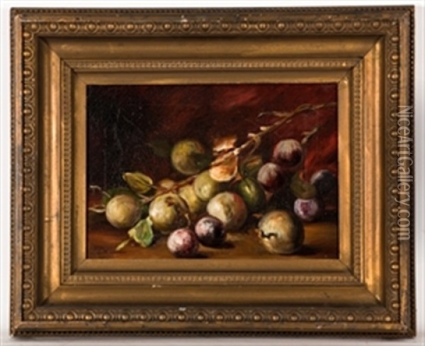 Still Life Of Apples And Plums Oil Painting - Louise Ellen Perman