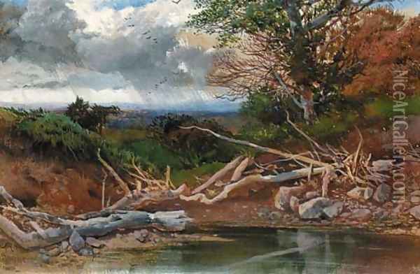 A pond in a wooded landscape Oil Painting - Henry Bright
