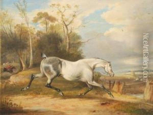 Running Wild With The Hunt Oil Painting - Francis Calcraft Turner