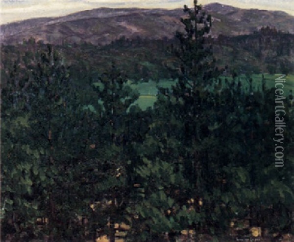 A Valley Viewed Through Trees Oil Painting - Rinaldo Cuneo