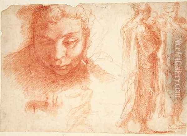 Studies for the head of a youth looking down and for the Virgin of the Annunciation, c.1527-28 Oil Painting - Polidoro Da Caravaggio (Caldara)
