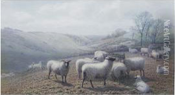 Sheep On A Hillside Oil Painting - Henry Birtles