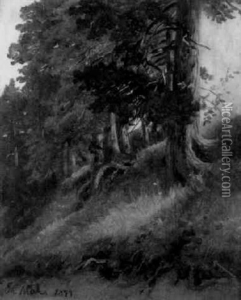 Blick Auf Eine Sonnenbeschienene Boschung Am Waldrand Oil Painting - Christian Friedrich Mali