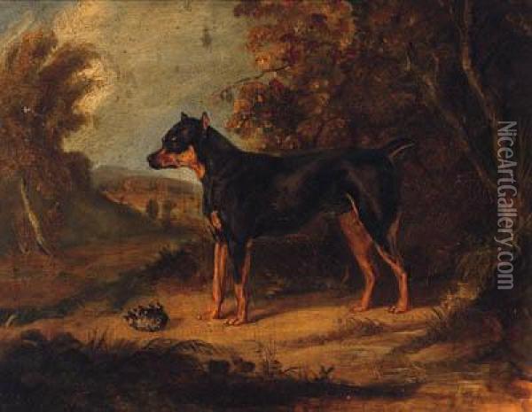 A Black And Tan Terrier Oil Painting - Ramsay Richard Reinagle