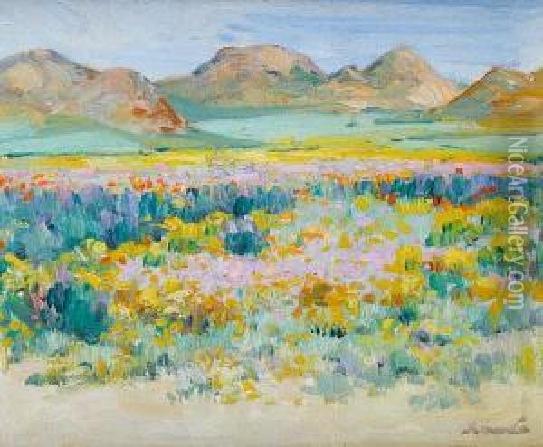 Namaqualand Flowers Oil Painting - Hugo Pieter Naude