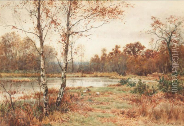 A Heathland Landscape With Ducks And A Pond Oil Painting - James Edward Grace