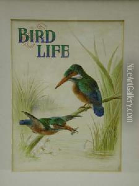 Bird Life Oil Painting - Harry Bright