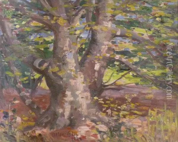 Wooded Landscape Oil Painting - Harry Phelan Gibb