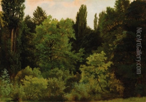 Deep In The Rockies Oil Painting - Albert Bierstadt