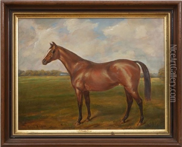 Portrait Of A Horse Oil Painting - Emil Adam
