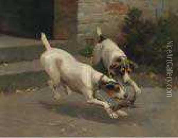 Terriers Ratting Oil Painting - Alfred Duke