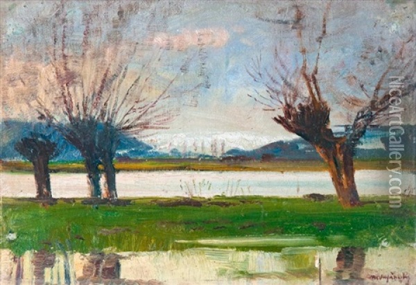 Vagvolgyi Nyirfak Oil Painting - Laszlo Mednyanszky