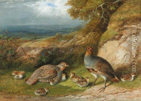 Partridge With Their Chicks In A Landscape Oil Painting - F. Rolfe