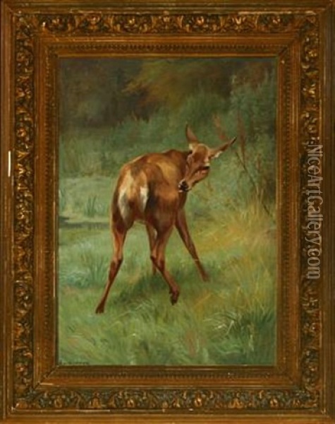 Landscape With Roe Deer Oil Painting - Adolf Heinrich Mackeprang
