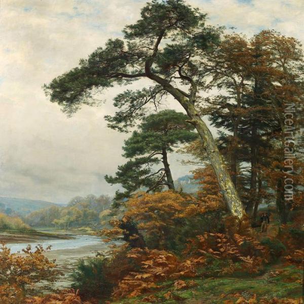 Tall Trees At A River Bank Oil Painting - Christian Zacho
