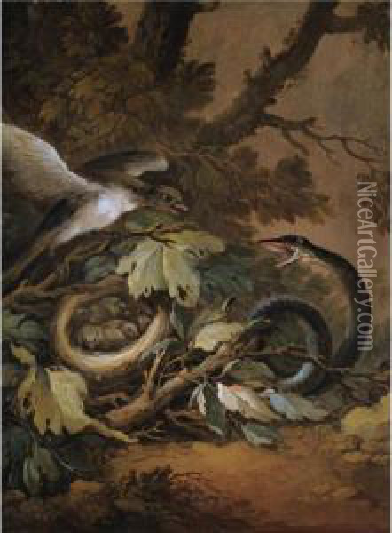 A Still Life With A Viper And A Bird's Nest Oil Painting - Christophe-Ludwig Agricola