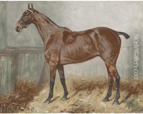 A Bay Hunter In A Stable Oil Painting - George Paice