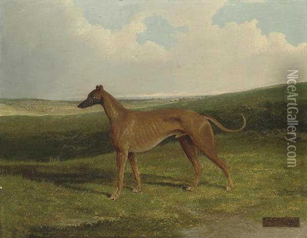 A Champion Greyhound In An Extensive Landscape Oil Painting - John Frederick Herring Snr