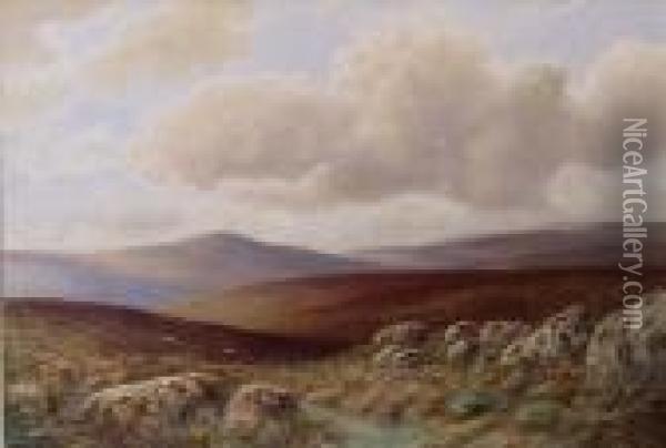 'dartmoor,nr. Princetown Oil Painting - William Henry Dyer