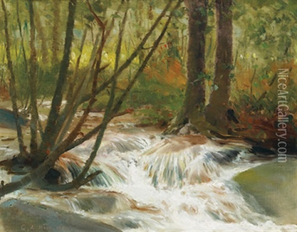 Forest Rapids Oil Painting - George Agnew Reid