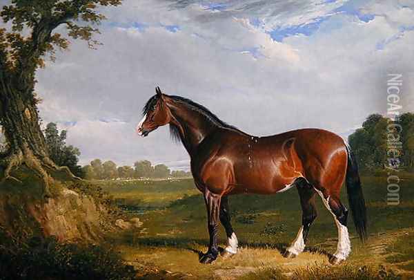 A Clydesdale Stallion, 1820 Oil Painting - John Frederick Herring Snr