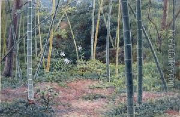 Bamboo Forest Oil Painting - Tojiro Oshita