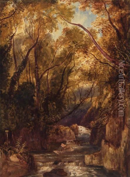 Atrributed To A Stream Flowing Through A Leafy Glade Oil Painting - Andrew Nicholl