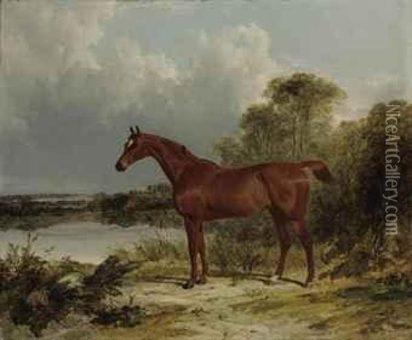 Sir William Earle's Chestnut Hunter In A Landscape Oil Painting - John Frederick Herring Snr